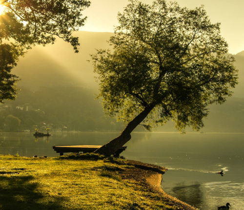 Sunrise on the Lake