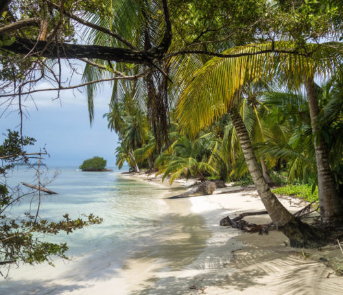 Island Paradise